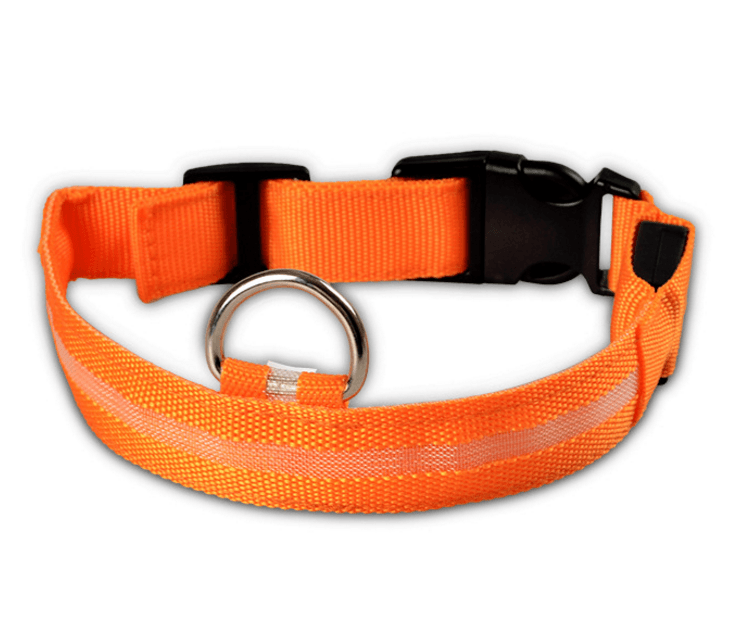 Luminous Glow-In-The-Dark Led Pet Collar: The Ultimate Night Safety Accessory For Dogs And Cats